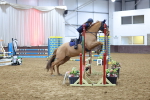 SBM_007413