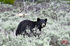 3HPhotography5-19-25_GTNP_141_