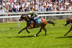 270523-Race 1-Doctor Khan Junior-0413