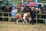 SHETPR 210425 44