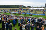 Race 7 17.20pm British EBF Fillies' Handicap portfolio