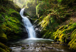 Dolgoch Falls