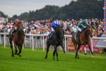 230823-Race 4-Mostahdaf-0572