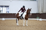 SBM_002382