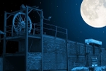 Moonlit Apedale