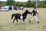 WJ6_5344