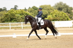 SBM_003663