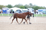 SBM_15343