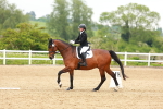 SBM_006568