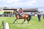 BPP_5893