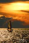 sunset windsurfer