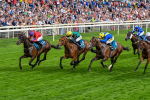 260725-Race 7-Chesneys Charm-0911
