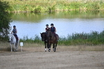 WJ6_8915