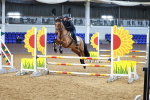 SBM_001041