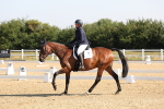 SBM_002878