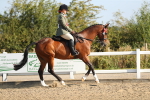 SBM_01259