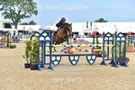 BPP_0473