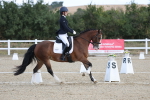 SBM_020292