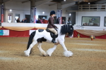SBM_09750