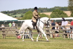 SBM_16206