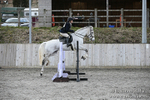 BVRC SJ 170319 648
