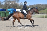 BPP_2953