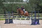 BPP_4289