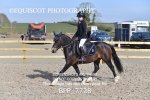 BPP_7728