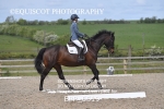 BPP_6519