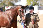 Class 405 - IH Show Cob portfolio