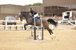 SBM_007904