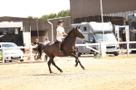 SBM_001923