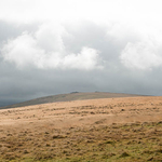 The Beacon