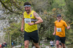 Dovedale Dash-932