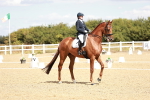 SBM_009395