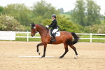SBM_006569