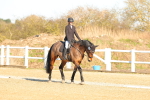 SBM_003777