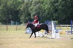 WJ6_9348