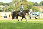 SBM_66648