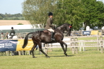 SBM_09550