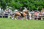 SBM_07900
