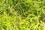 SBM_12003