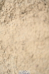 250216A-123513-02536