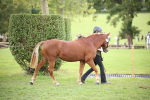 SBM_44365
