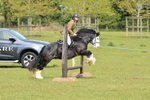 Class 20 - Beginner Working Hunter portfolio