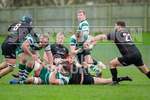 Guernsey Raiders v Rochford Hundred-25