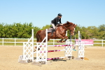 SBM_001176