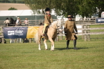 SBM_10191
