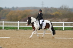 SBM_003415