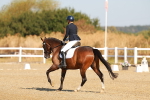 SBM_016536